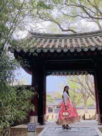 Stepping Back in Time: Hanbok Experience at Gyeonggijeon on a Gloomy Day