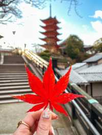 【広島】開放感のある歴史のある神社