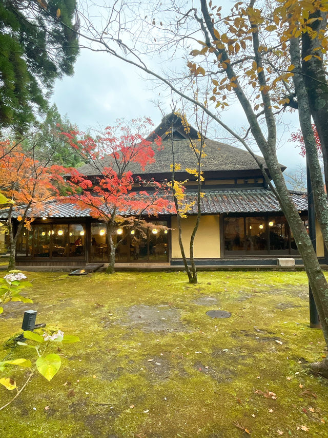 【湯布院】感動！亀の井別荘の素晴らしい紅葉✨