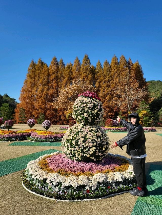 메타세콰이어 명소로 유명한 청남대