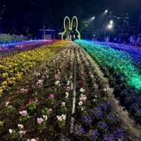 Magical illuminations & fireworks at Huis Ten Bosch