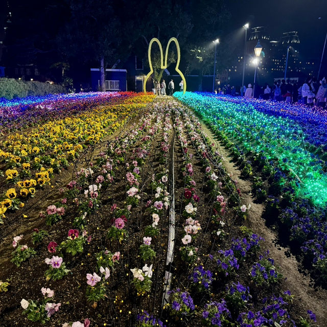 Magical illuminations & fireworks at Huis Ten Bosch