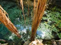 Hidden Paradise in selva of Yucatan