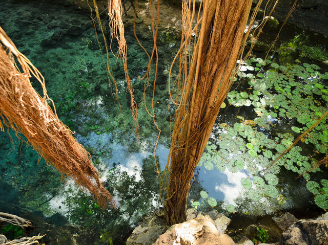 Hidden Paradise in selva of Yucatan