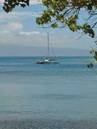Kapalua Coastal Trail: A Stroll Through Maui’s Paradise