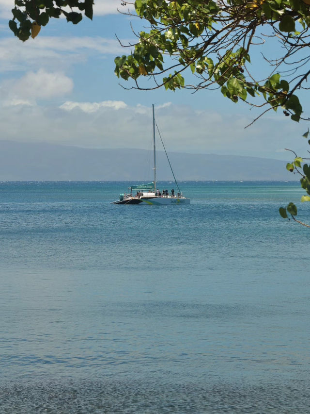 Kapalua Coastal Trail: A Stroll Through Maui’s Paradise