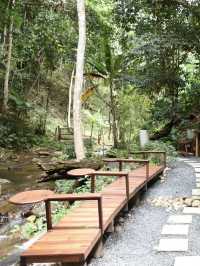 อุตสาชงที่บ้าน คาเฟ่กลางป่าในจังหวัดเชียงใหม่🌳