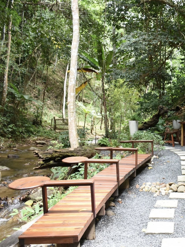 อุตสาชงที่บ้าน คาเฟ่กลางป่าในจังหวัดเชียงใหม่🌳