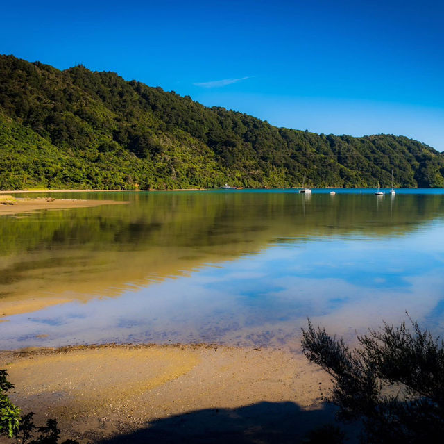 Tranquil Trails and Sweet Treats: Discovering the Havelock Link Track 