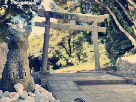 鳥取🇯🇵白兔神社