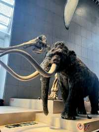 Shanghai Natural History Museum