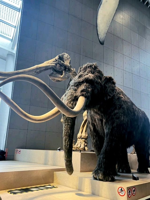 Shanghai Natural History Museum