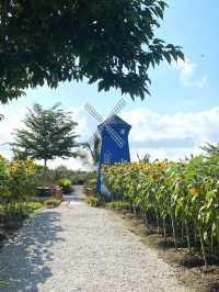 Ipoh Sunflower Garden: A Burst of Sunshine