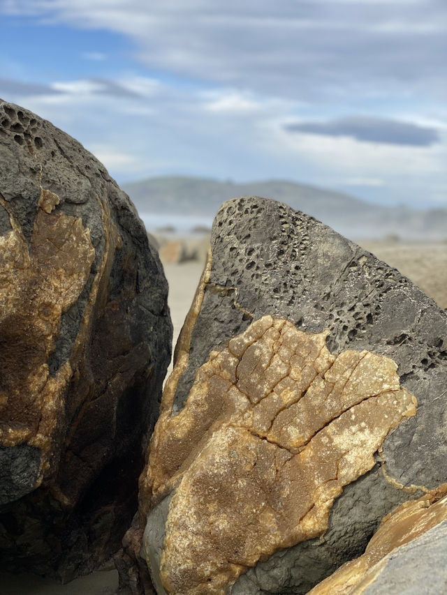 Moeraki Boulders: Nature’s Mystical Sculptures by the Sea