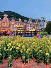 Step Into a Storybook World of Colors and Charm