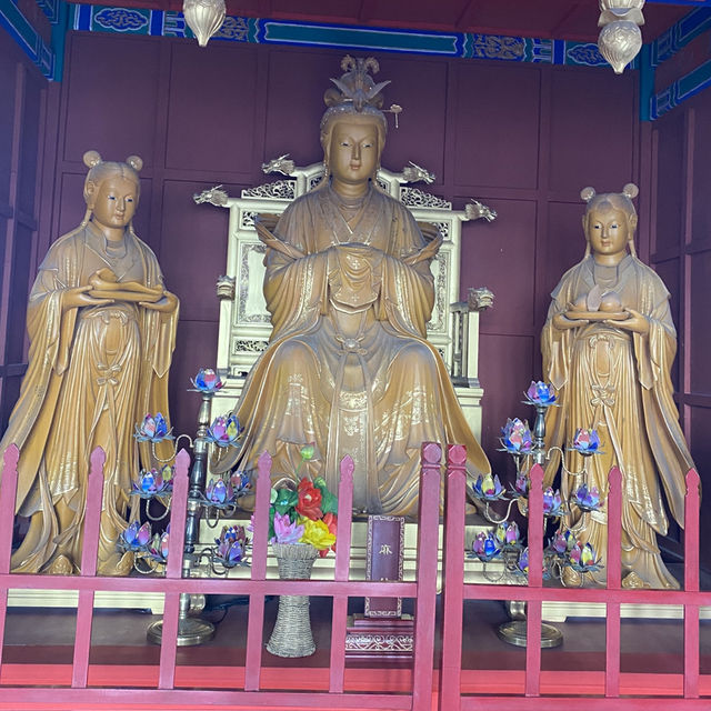 🇨🇳봉래 신비로운 삼선산풍경구의 내부와 귀여운 동물들🦢🐈‍⬛