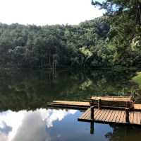 🏕️ เที่ยวอุทยานแห่งชาติปางอุ๋งแม่ฮ่องสอน