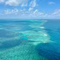 Soaring Above and Diving Below: My Spectacular Day at the Great Barrier Reef!