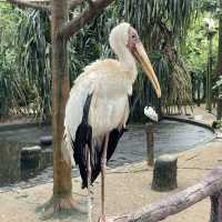 Zoo Negara Malaysia: A Perfect Destination for All Ages