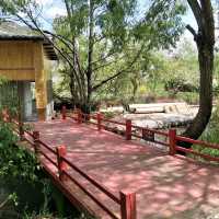 Exploring Dali’s Hidden Beauty: A Day at Erhai Lake