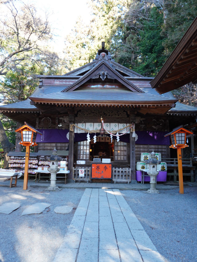 【山梨 冬の日帰り旅】富士山と五重塔の絶景 人気のスポット！