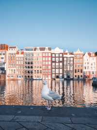 A week in Amsterdam