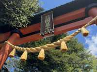 Hiking to Chureito Pagoda: A Mount Fuji Adventure with a View