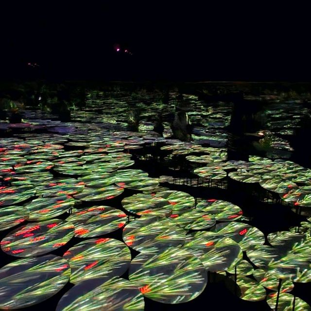 東京📍teamLab⭐️Borderless