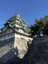 The Stunning Nagoya Castle, You Have To See It To Believe It! 🇯🇵 🏯🗾