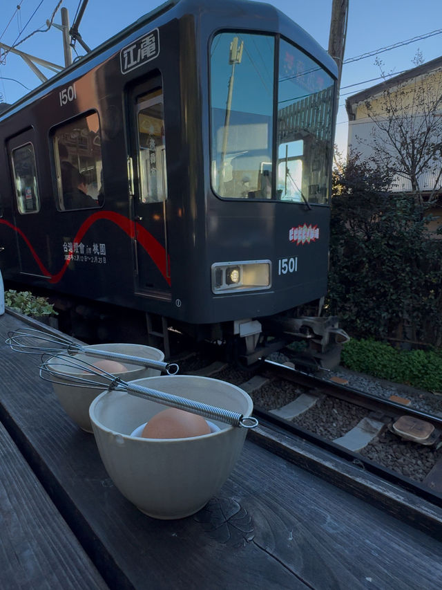 Grilled Fish and Passing Trains at Cafe Yoridokoro in Kamakura