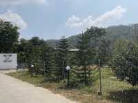 พามาฟิน คาเฟ่เปิดใหม่ Margaret Private Villa&Cafe
