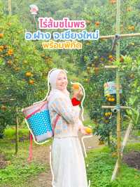 ไร่ส้มชไมพร