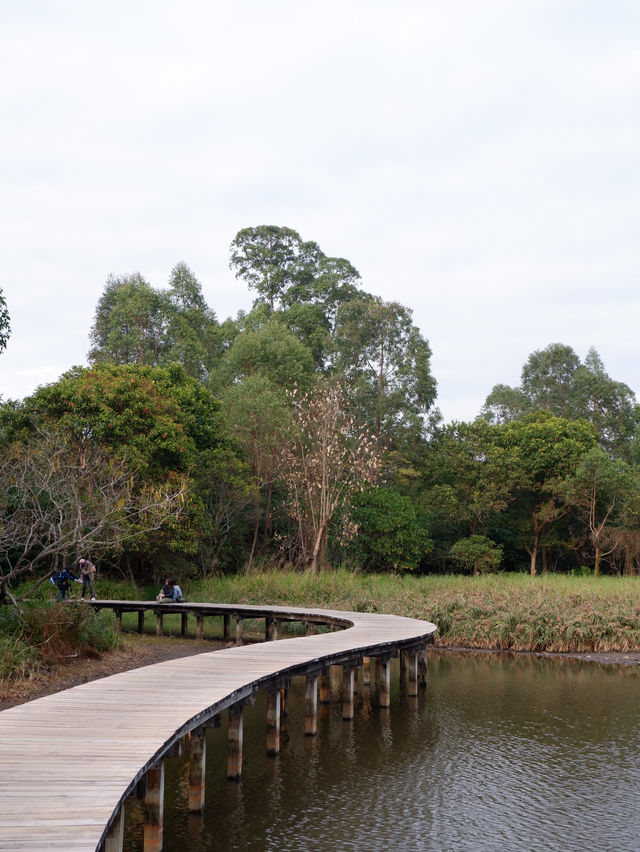 香港秋冬景點：本地人才會去小眾公園 