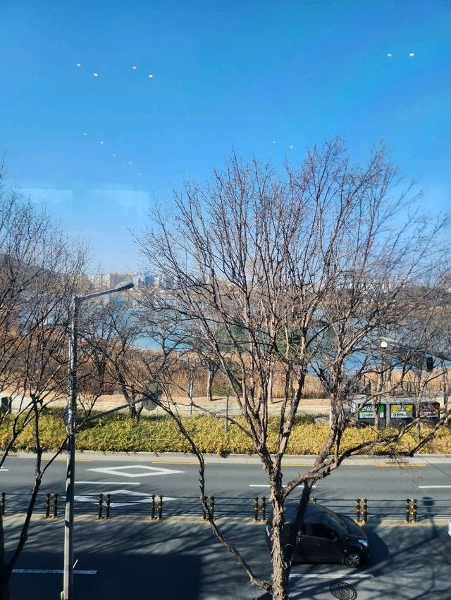 ❣️대구여행 수성못 뷰 맛집 카페, "스타벅스 수성레이크점"❣️