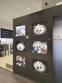 유럽여행 암스테르담의 다이아몬드 박물관 Royal Coster Diamonds