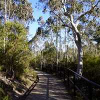 擁有世上最斜的纜車 - 藍山國家公園（Blue Mountains National Park）