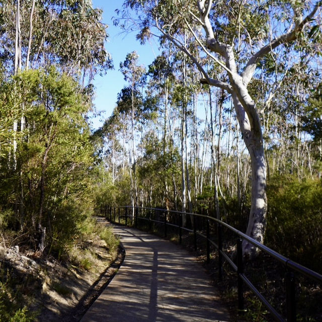 擁有世上最斜的纜車 - 藍山國家公園（Blue Mountains National Park）