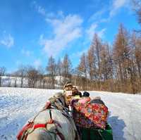 Thrills & Chills: Yabuli Ski Resort Adventure 🏔️❄️🛷