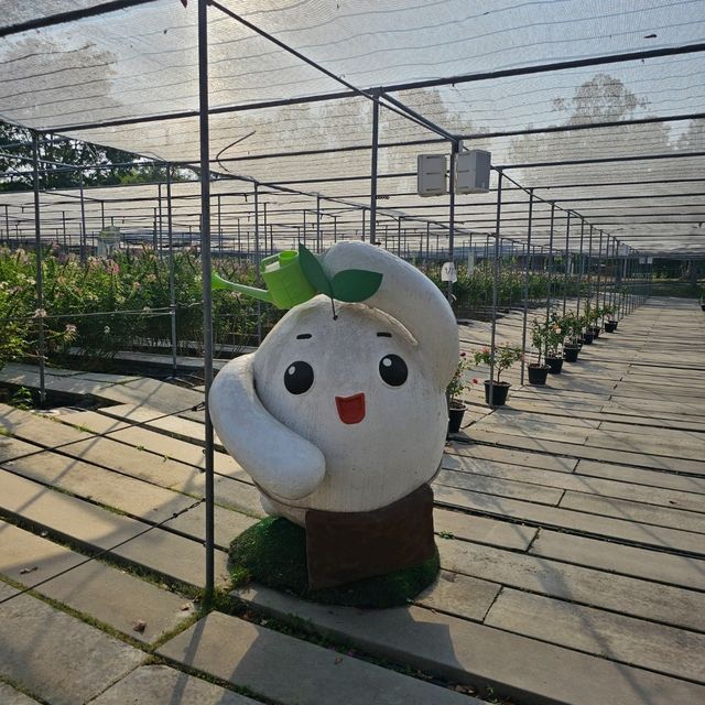 อร่อยแบบเฮลท์ตี้ สดจากฟาร์มที่ Coro Field Cafe