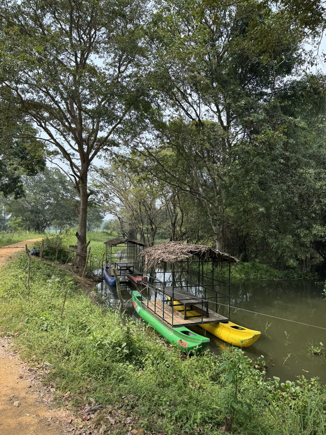 Cultural tour