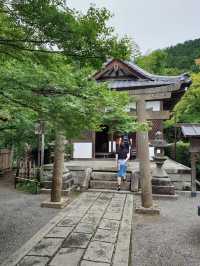 京都常寂光寺參訪體驗：隱藏在嵐山的紅葉秘境