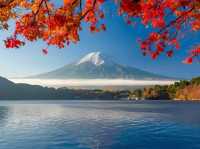 富士山山中湖‐紅葉配上富士山真的太美太出片了！！🤩