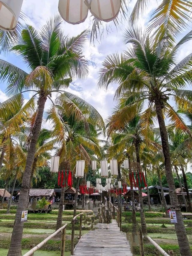 Coconut Market 清邁周末限定的「椰林市集」