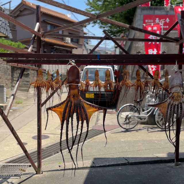 Island Escape: A Getaway to Himakajima 🏝️🐙