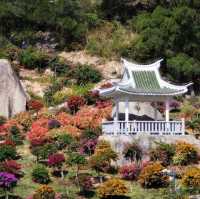 【中国/アモイ園林植物園】
