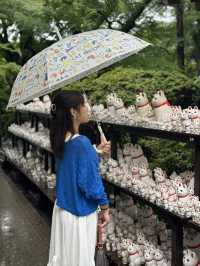 日本東京 豪德寺 買一個貓貓許一個願 