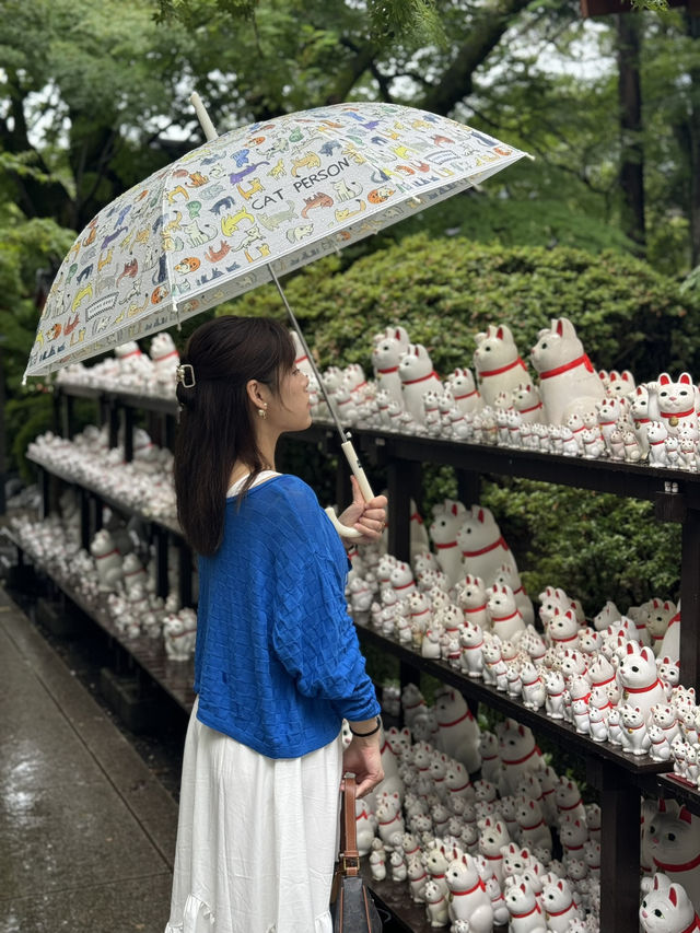 日本東京 豪德寺 買一個貓貓許一個願 