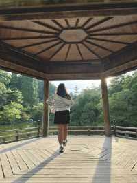 Naritasan Day Trip: Unveiling a Hidden Gem Near Tokyo