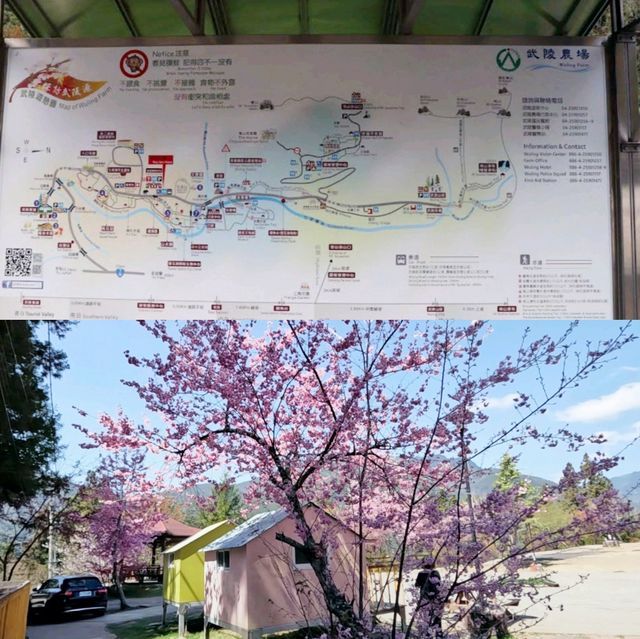台北