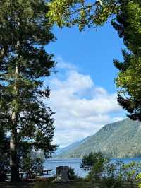 Untamed Wilderness – My Solo Journey Through Olympic National Park